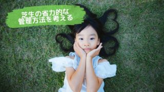 芝生管理