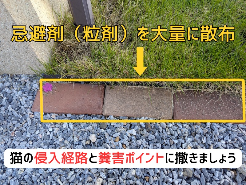 猫の忌避剤（粒材）に散布した様子