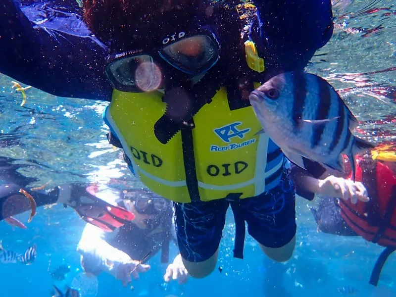 沖縄でシュノーケリングを楽しむ子ども