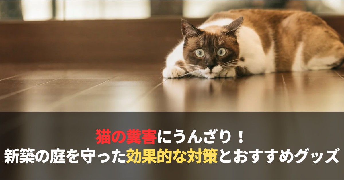猫の糞害を解決するために庭に設置された日本製の超音波装置（ガーデンバリアIII）
