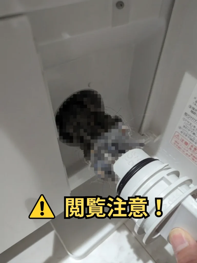 ドラム式洗濯機の排水フィルターに大量の糸くずと汚れが詰まった状態（NA-LX129AR・モザイク加工）
